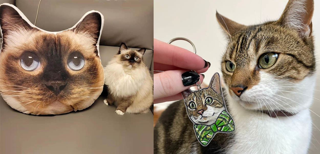 Los mejores regalos personalizados para tu gato en el Día Internacional del Gato