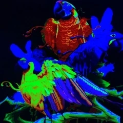 Tinta de sublimaci&oacute;n HD-NEON