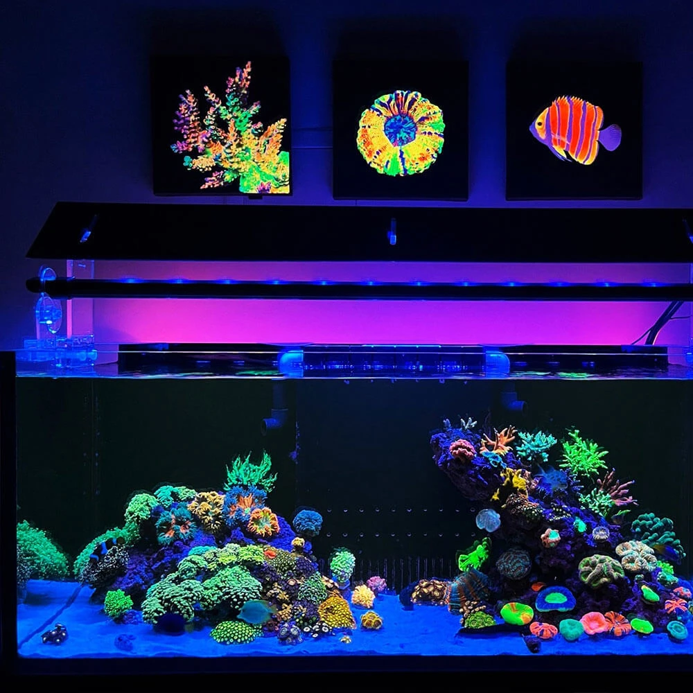 Tinta fluorescente UV