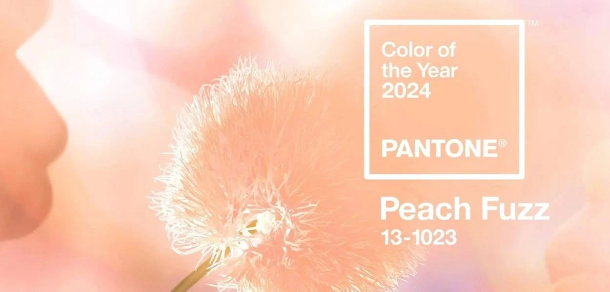 &iquest;C&oacute;mo utilizar Peach Fuzz - Color Pantone de 2024?