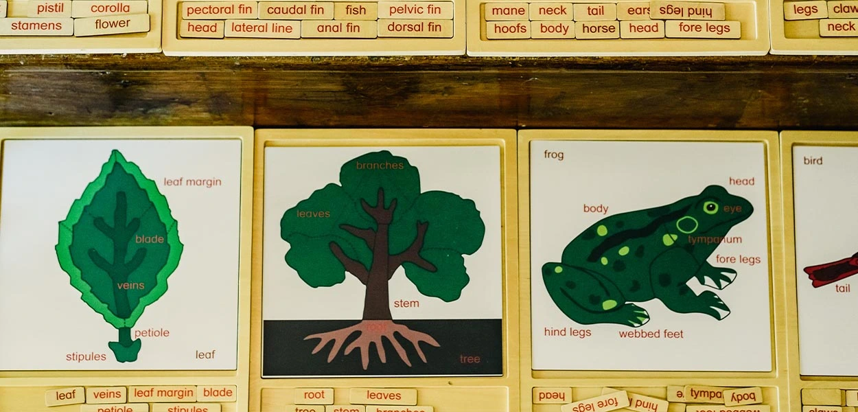 Cómo crear diseños en madera con impresora UV